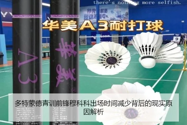 多特蒙德青训前锋穆科科出场时间减少背后的现实原因解析