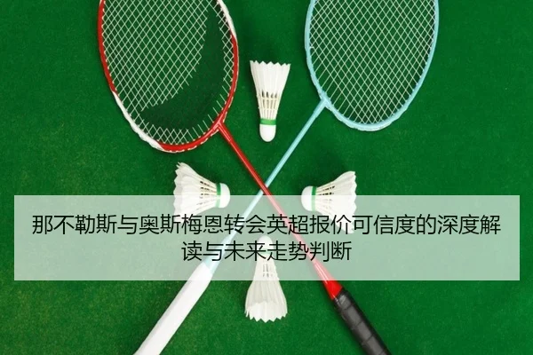 那不勒斯与奥斯梅恩转会英超报价可信度的深度解读与未来走势判断